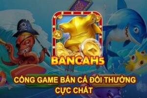 khát quát về sân chơi cbn bắn cá h5