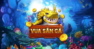 Vua săn cá và những lưu ý quan trọng