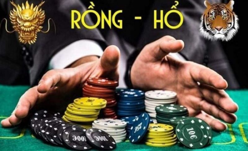 Kinh nghiệm chơi rồng hổ chuyên nghiệp